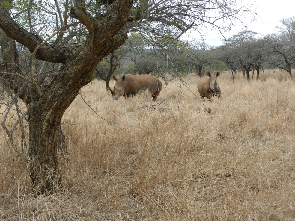 DSCN4814.JPG